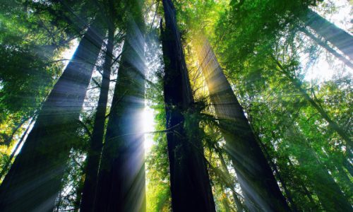 Ознакомительный семинар