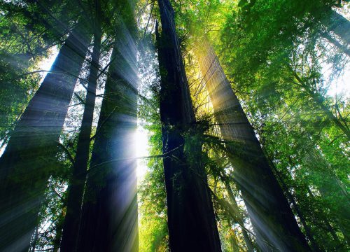 Ознакомительный семинар