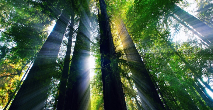 Ознакомительный семинар