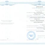 Анисимова диплом