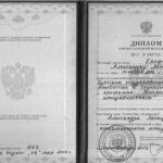 Диплом 3