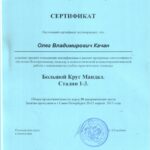 Сертификат 5