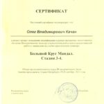 Сертификат 6