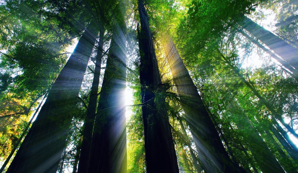 Ознакомительный семинар 13 ноября